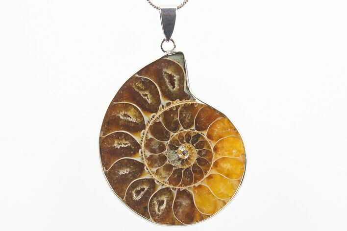 Fossil Ammonite Pendant - Million Years Old #306494